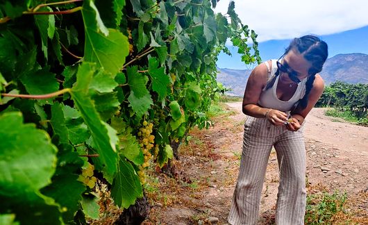 student walking among vineyard in santiago chile