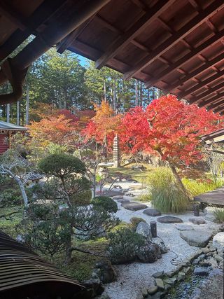 Fall gardens in Japan
