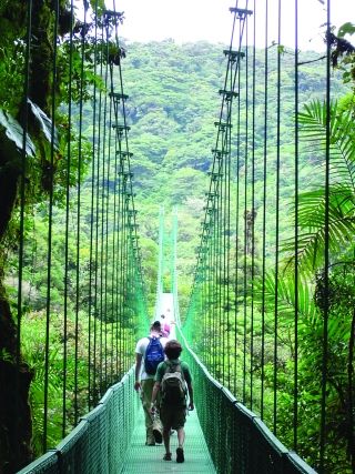 Students walking across a bridge in a rainforest