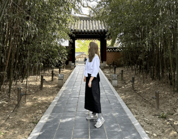 Bamboo Forest at Gyeonggijeon Shrine