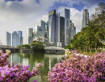 downtown singapore skyline flowers