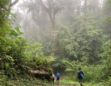 Monteverde landscape.jpg