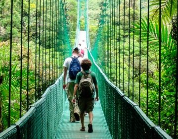 monteverde students on forest bridge