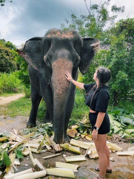 Woman petting elephant's trunk in Thailand