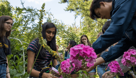Young people helping plant flowers in Berlin