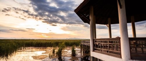 swamp and dock of botswana gaborone