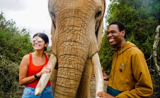 students with elephant in cape town