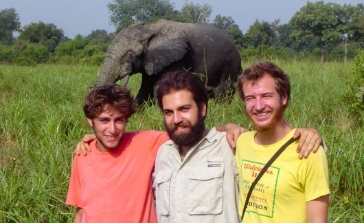 legon trio of men with elephant in background