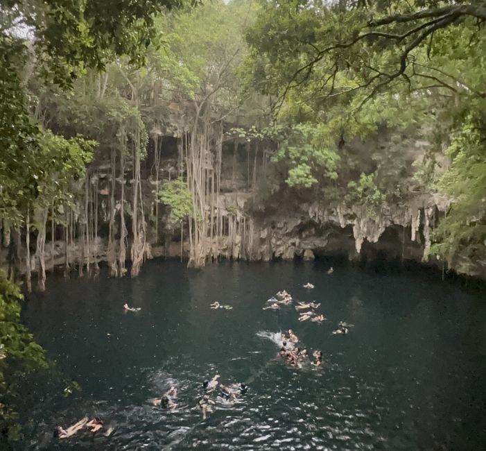 students in a cenote swimming