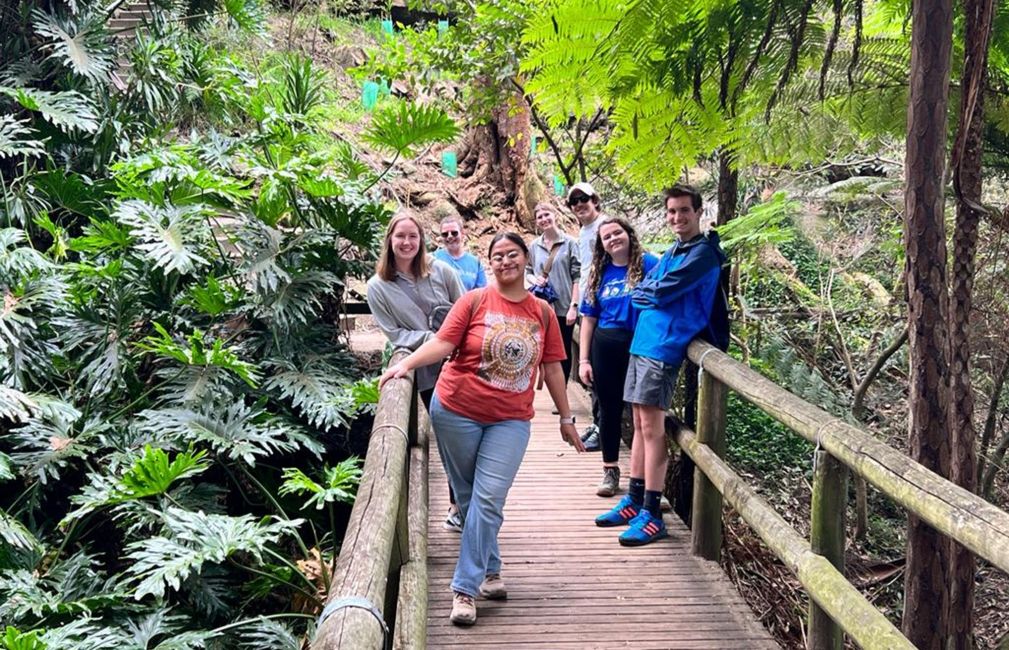 sydney students explore jungle in australia