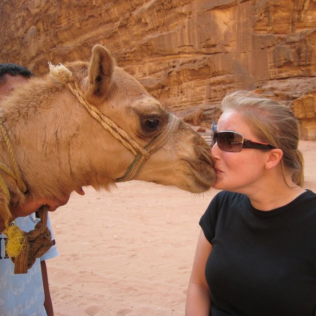 camel kiss amman jordan