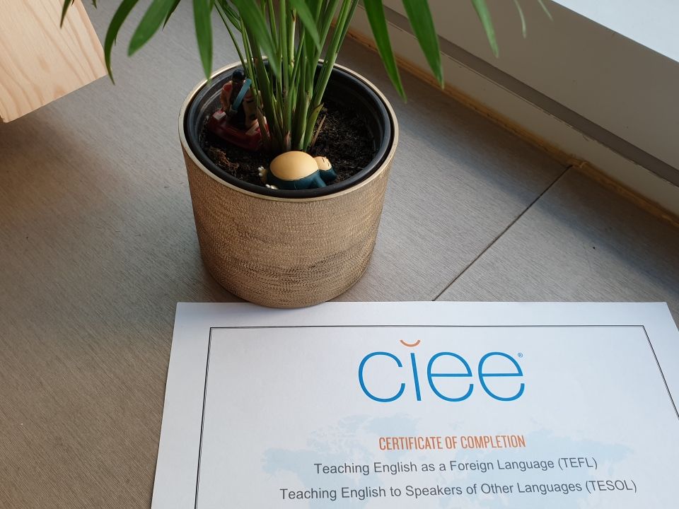 Photo for blog post CIEE’s Online Accredited TEFL Course | The Best Option for me (and you)