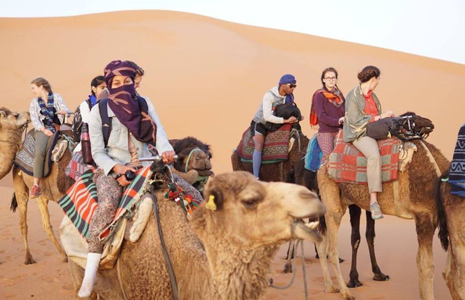 rabat camel ride desert