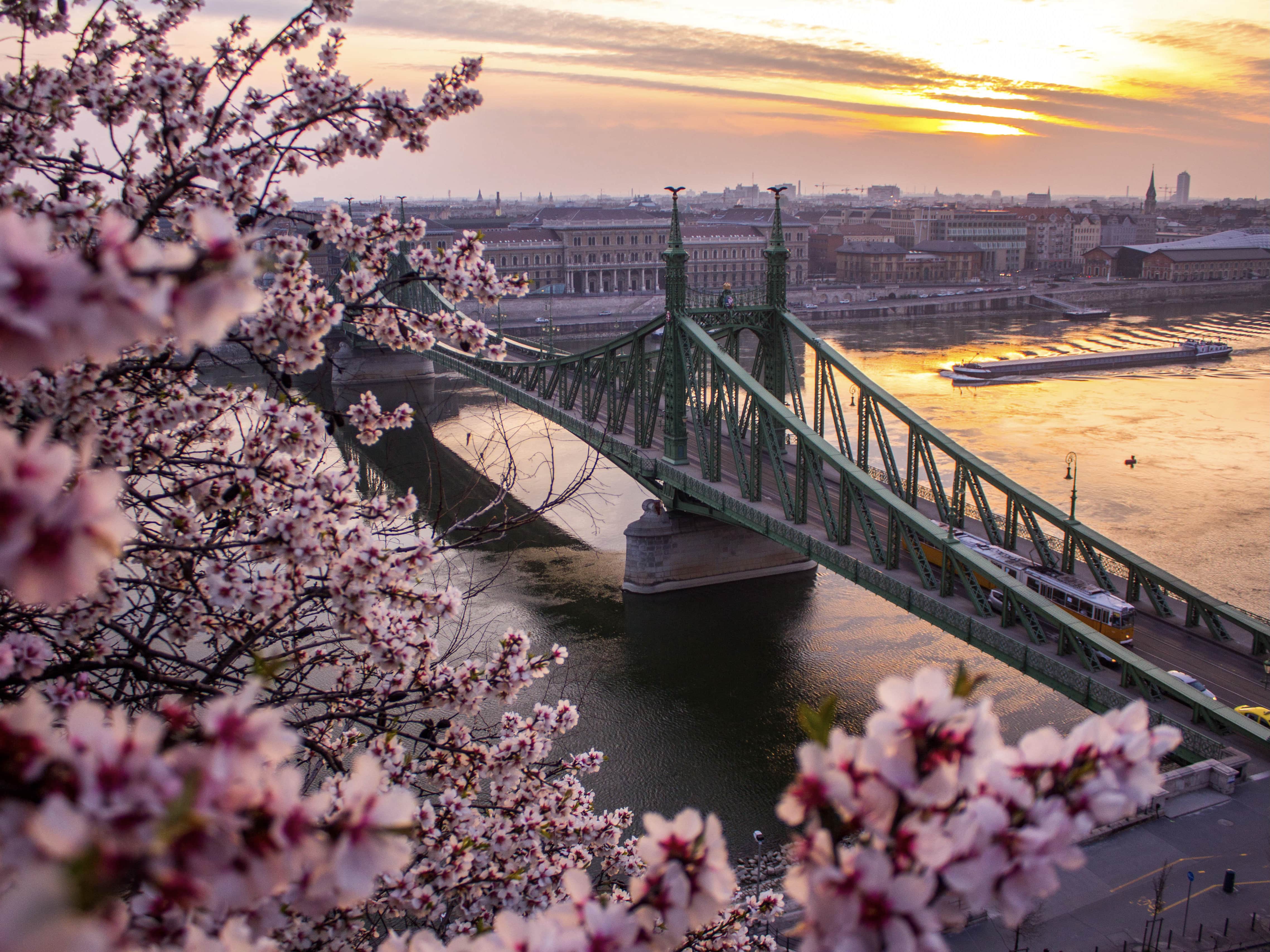 Teach English in Hungary Through the CIEE TEFL Free Placement