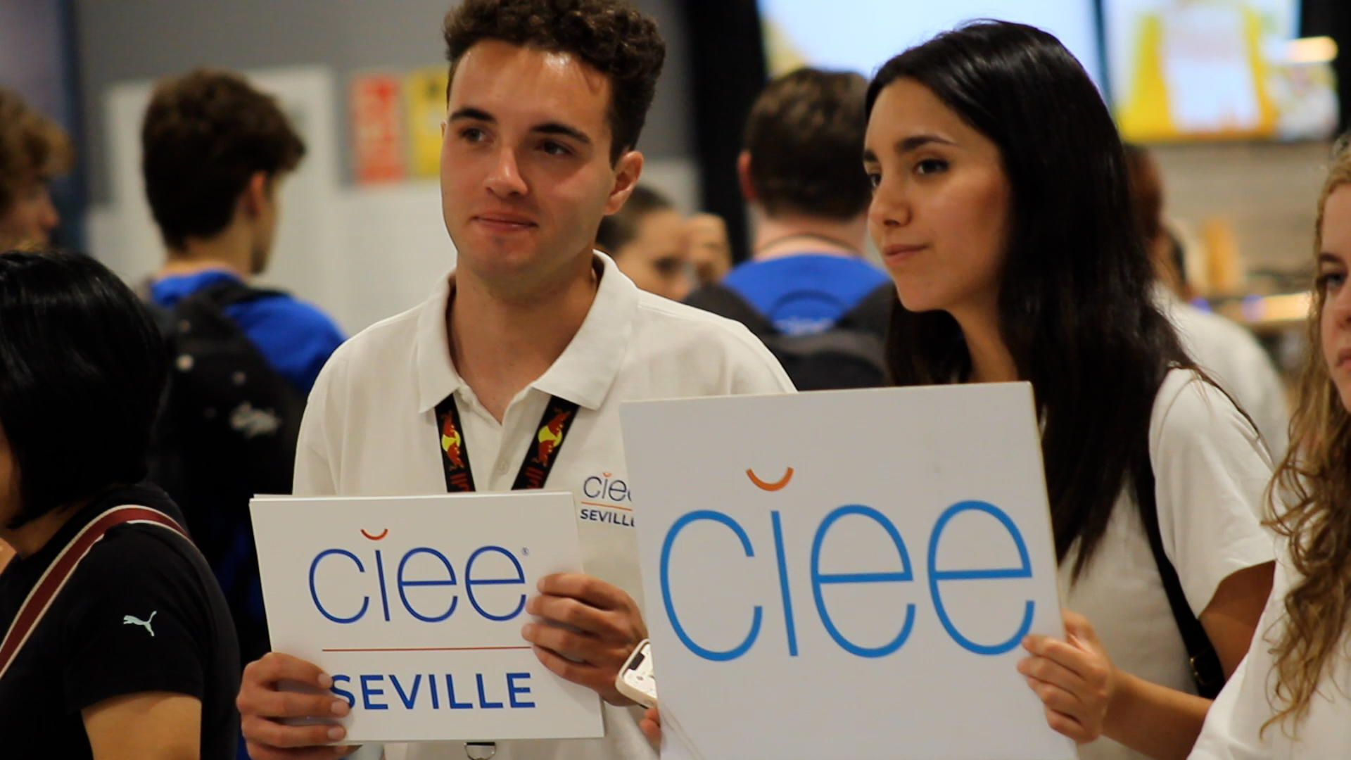 Summer visual data 5