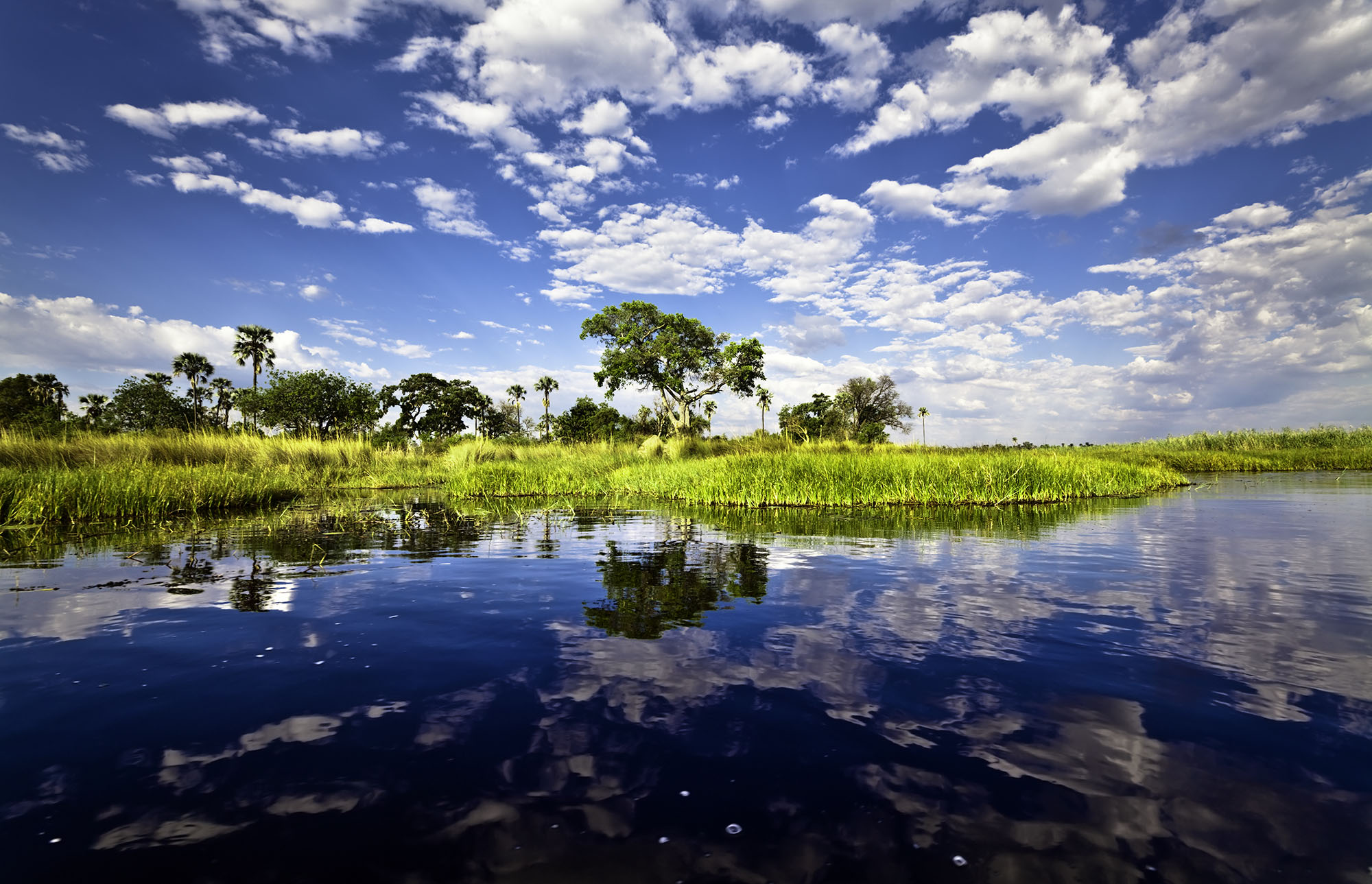 gaborone study abroad botswana