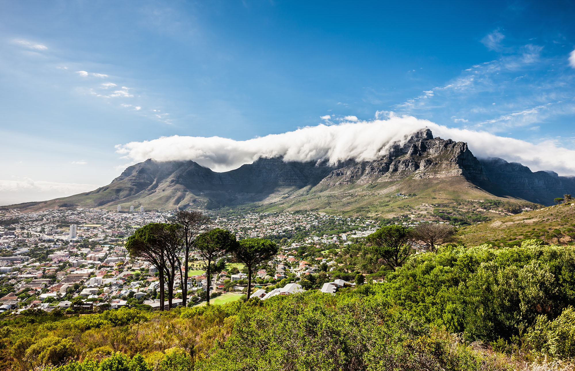  cape town study abroad