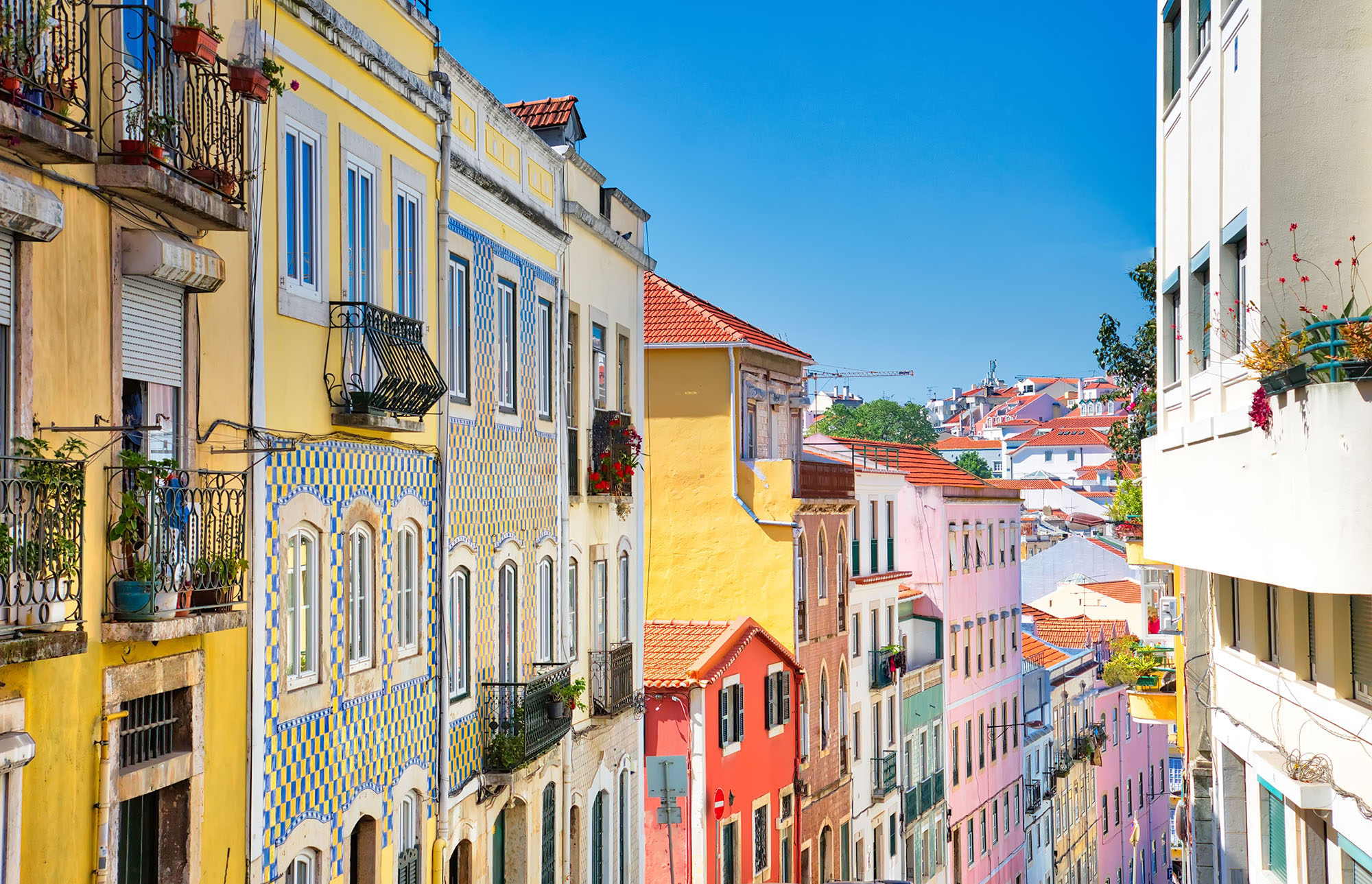 lisbon study abroad