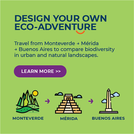 Design Your Own Eco-Adventure