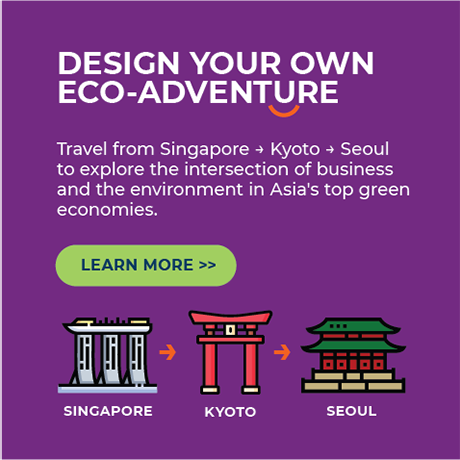 Design Your Own Eco-Adventure