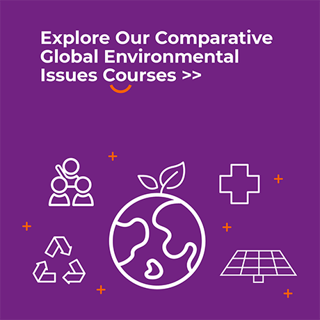 Explore our comparative global environmental issues courses
