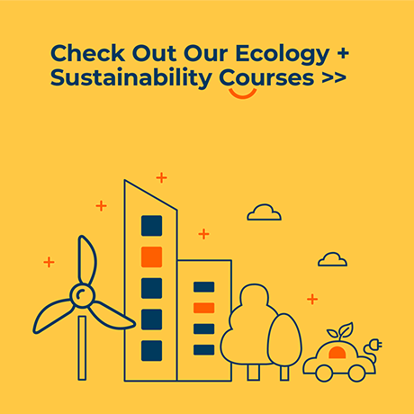 Check out our Ecology + Sustainability Courses