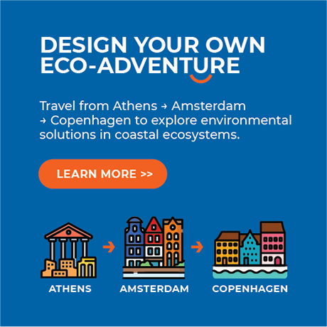 Design Your Own Eco-Adventure