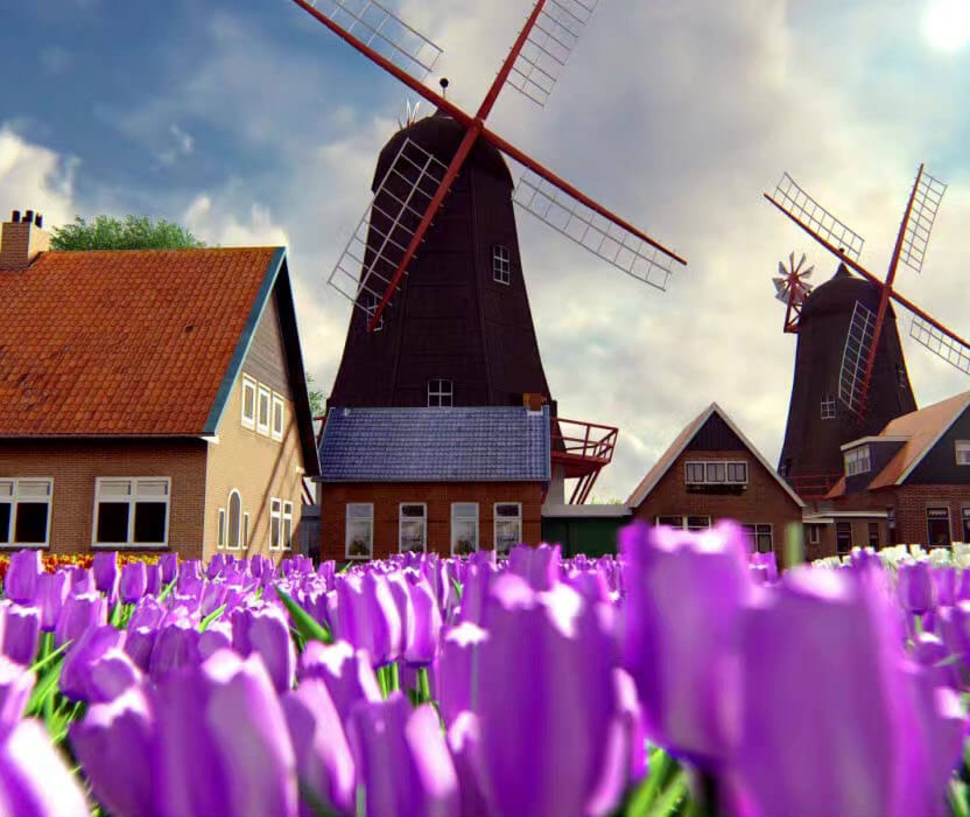 Study Abroad in the Netherlands CIEE