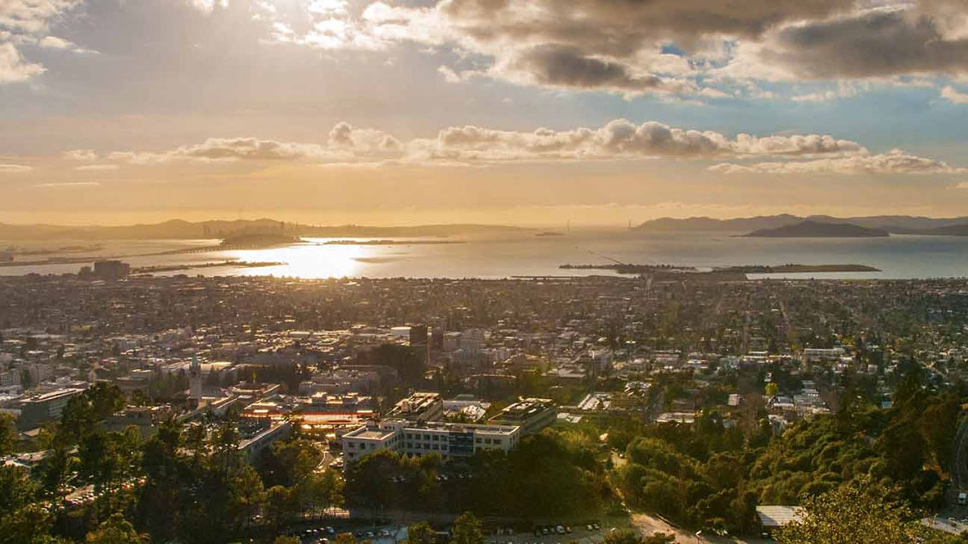Uc Berkeley Extension Summer 2025