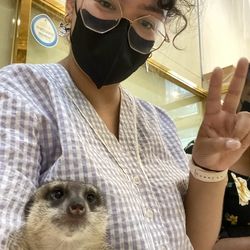 KT profile picture