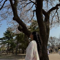 Blossoms
