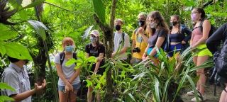 Photo for blog post Exploring Costa Rica's Cloud Forest