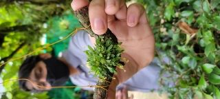 Photo for blog post Exploring Costa Rica's Cloud Forest