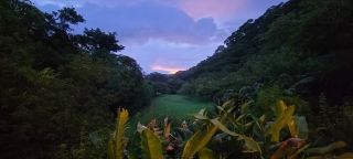 Photo for blog post Exploring Costa Rica's Cloud Forest