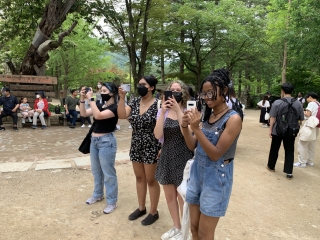 Photo for blog post Subway, train, bus, and ferry---Oh MY!  Adventure to Nami Island.....