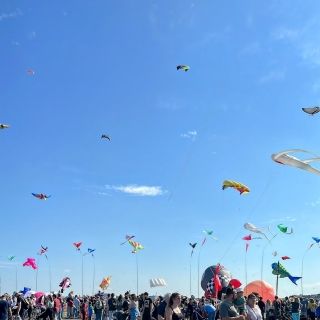 Kite Festival Tempelhof