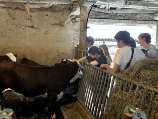 Moo