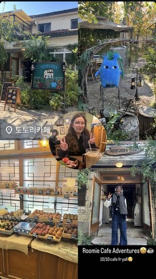 dotori cafe collage
