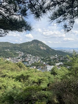 beautiful mountain top view