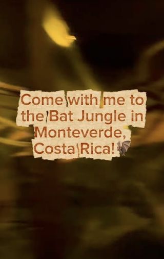 monteverde study abroad CIEE