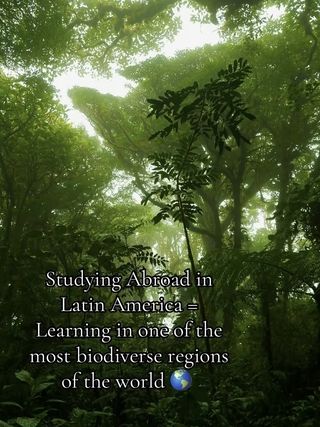 monteverde study abroad CIEE