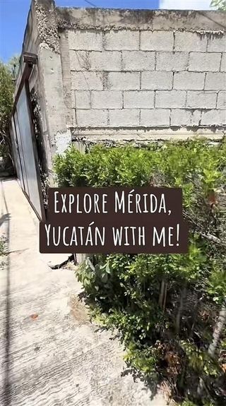merida mexico study abroad CIEE