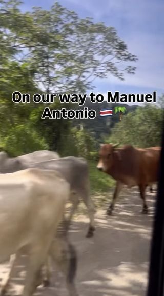 monteverde study abroad CIEE costa rica