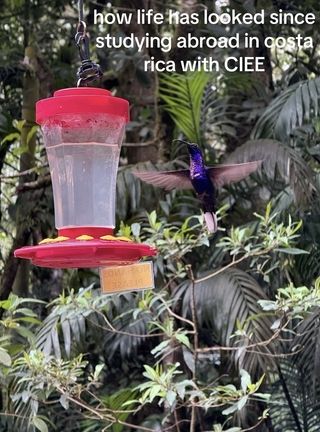 monteverde study abroad CIEE costa rica