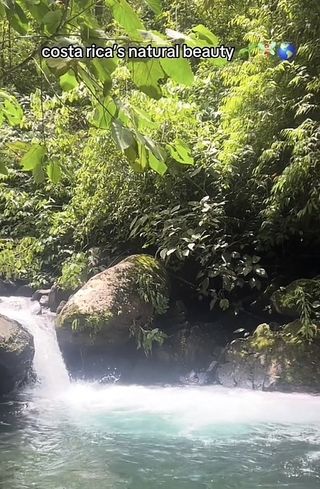 monteverde study abroad CIEE costa rica