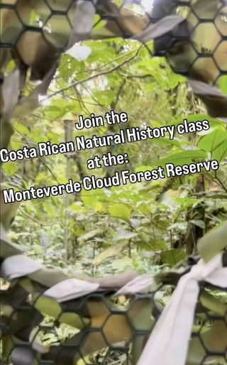 monteverde study abroad CIEE costa rica