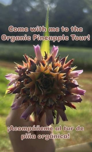 monteverde study abroad CIEE costa rica