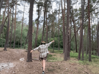 Wandering through the forest