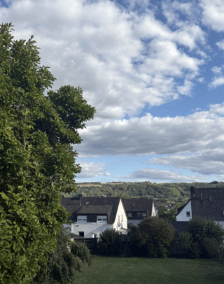 My everyday view