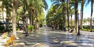 Palm trees in Alicante, Spain
